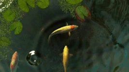 1578506723_koi-fish-3d-screensaver-2.jpg