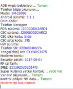 Ekran Alıntısı.PNG