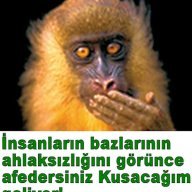 prensipci