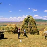 tatarogul