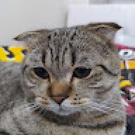 NotYagiz