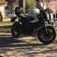 alp_22m