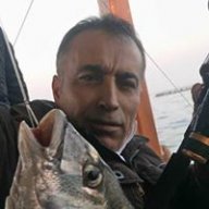 ali rıza