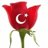 72emin21